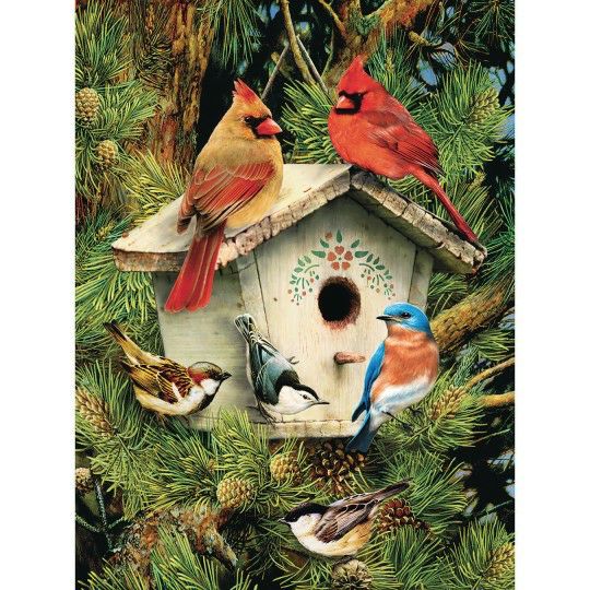 Craft Kits & Projects |  Bird Paint By Number Craft Kits & Projects Craft Kits & Projects