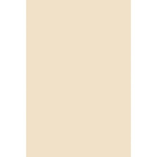 Craft Supplies |  Oak Manilla Tag Board, 12″ x 18″ (Pack of 100) Craft Supplies Craft Supplies