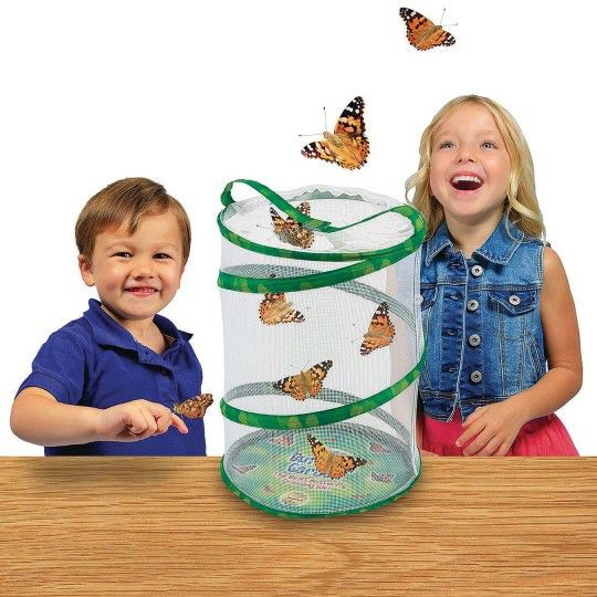 Ed Supplies & Early Childhood |  Butterfly Garden Growing Kit – Includes Caterpillar Voucher Ed Supplies & Early Childhood Ed Supplies & Early Childhood