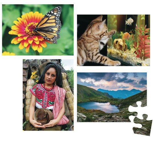 Senior Activities |   12-Piece Puzzle Set A Games & Sports Supplies Senior Activities