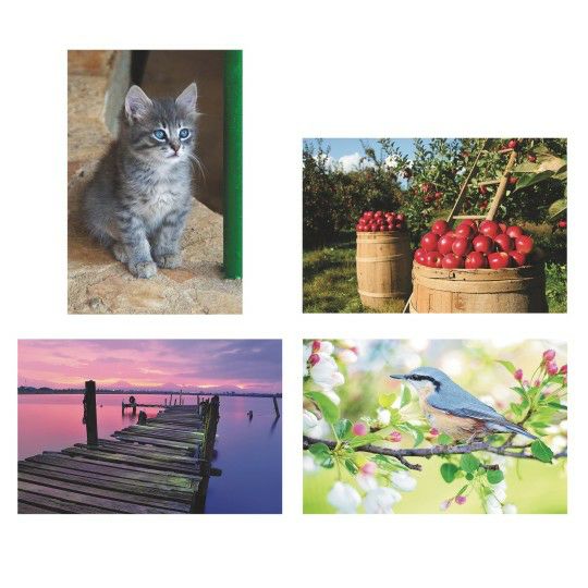 Senior Activities |   Foam Puzzles Set: Apple, Bluebird, Dock, and Kitten (Set of 4) Games & Sports Supplies Senior Activities